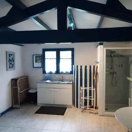 Vakantiehuis Holiday St- Georges-d'oleron - Nat04111-f