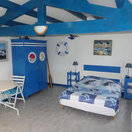 Vakantiehuis Holiday St- Georges-d'oleron - Nat04111-f *